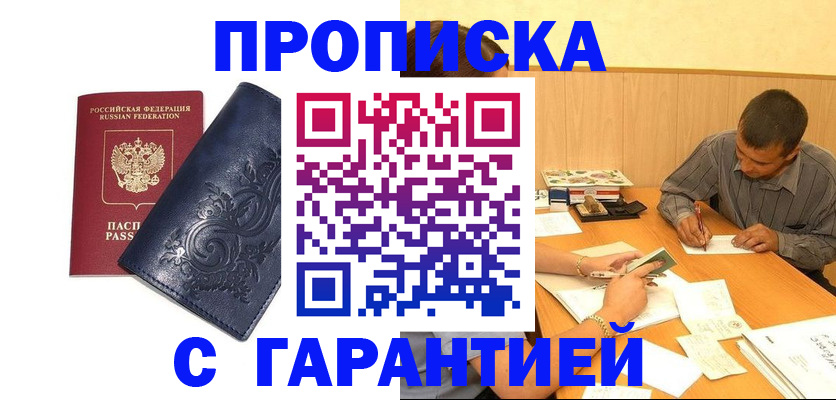 прописка поиск в Тынде